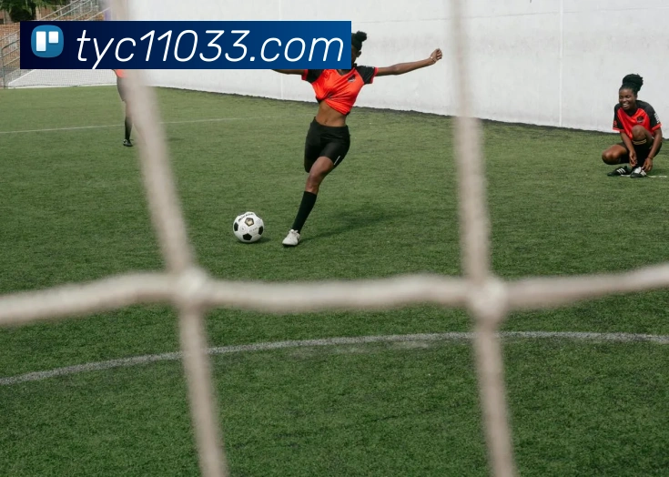 赛事专题整合